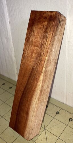 One Piece Hawaiian Mild Curl Koa ~ 6 7/8" x 1 2/3" x 1" (#640) - Picture 3 of 7