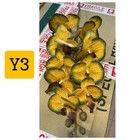 Foto 36 di 42