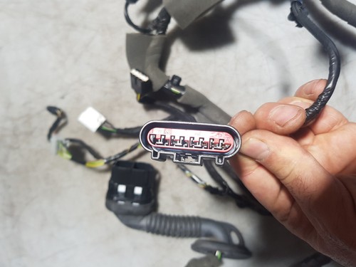 Telar de cableado puerta delantera Ford Focus MK3 2011 - 2017 F1ET-14K138-CDG - Imagen 3 de 8