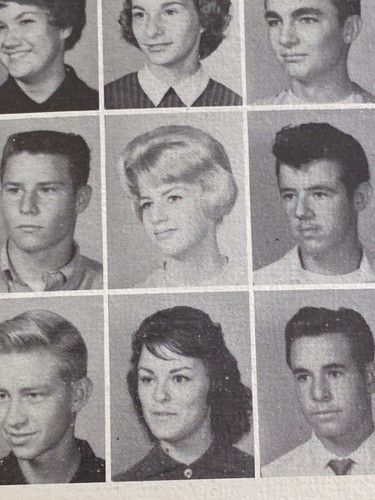 LORNA MAITLAND Anuario de Escuela Secundaria MONDO TOPLESS Mudhoney Russ Meyers Solo Libro - Imagen 3 de 11