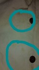 Bild 8 von 12