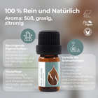 Bild 8 von 11