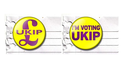 Vote UKIP 25mm button badge / fridge magnet ELECTION, Politics - Picture 9 of 9