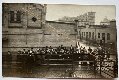 orig. Foto AK Posen Hintergrund Schlachthaus um 1910 Vieh Versteinerung