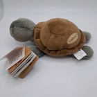 Bild 8 von 11