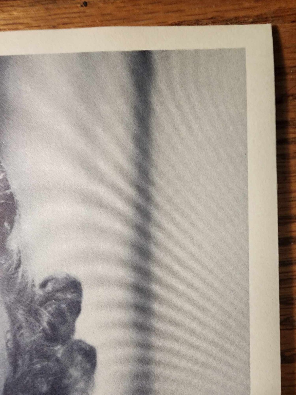 Picture 6 of 14