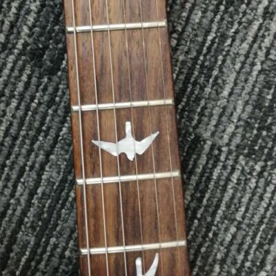 Prs Secustom 24 Qm Ltd Custom | eBay