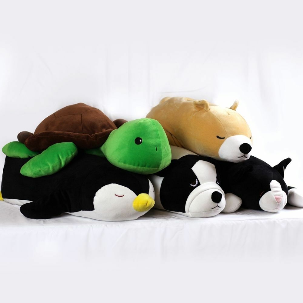 snoozimals turtle