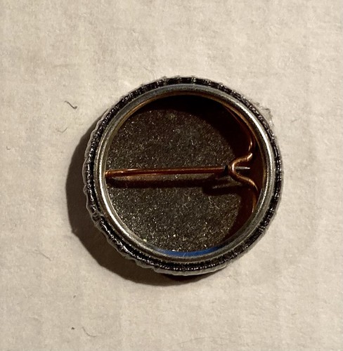 AGNOSTIC FRONT EARLY 2000S SKULL & CROSSBONE DESIGN PIN NYHC MADBALL 25 TA LIFE - Picture 2 of 2