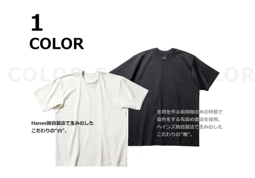 Hanes Shiro Kuro Japan exklusives T-Shirt 2er-Pack 7,0 oz Unisex JP-Größe neu - Bild 2 von 29