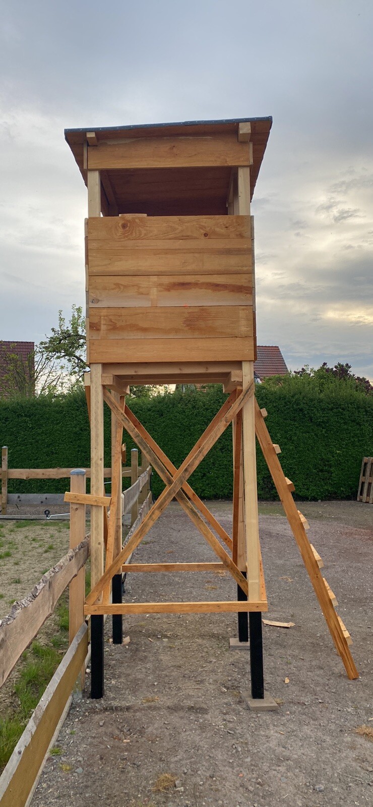 Bild 2 von 5