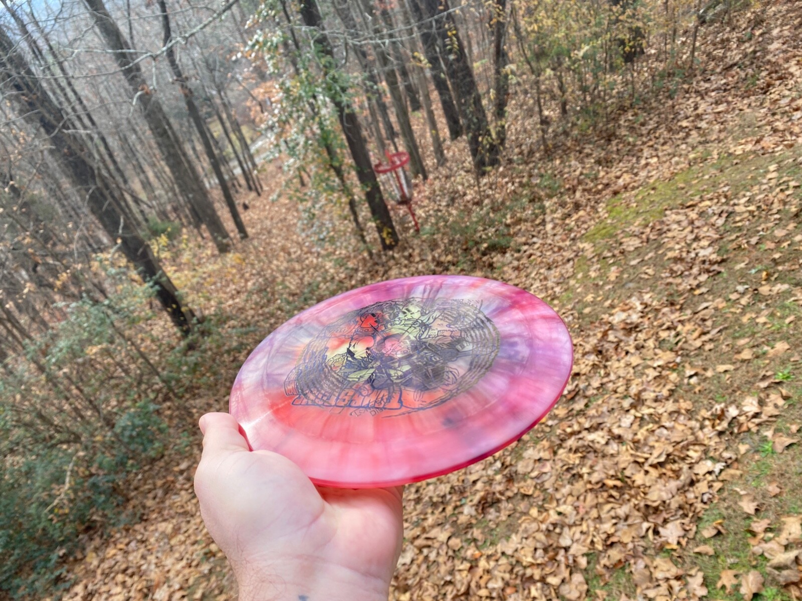 Picture 3 of 5