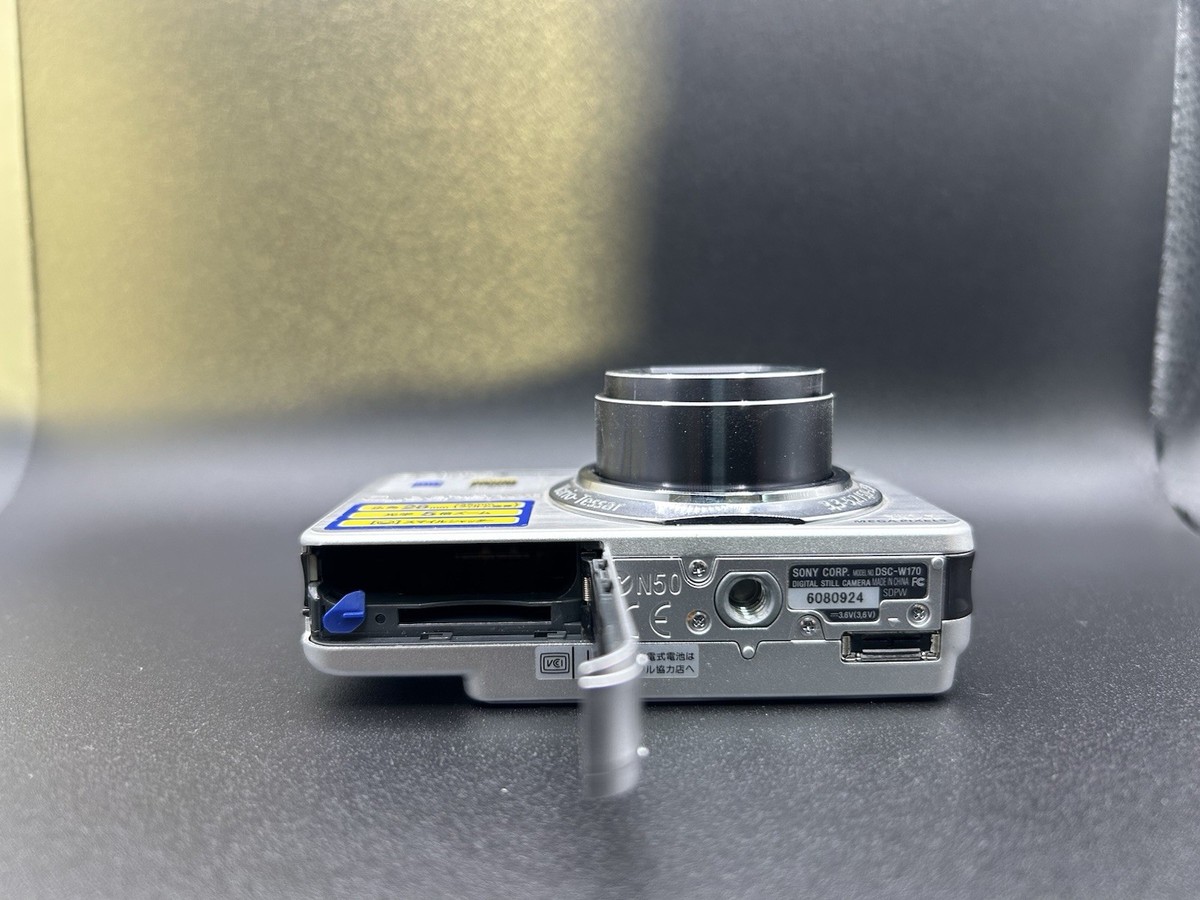 Sony Cyber-shot DSC-W170 10.1MP Digital Camera - Silver (DSC