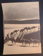 The Silk Road by Frances Wood