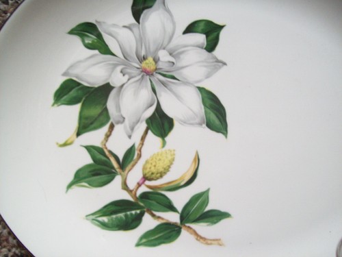 RARO piatto ovale Homer Laughlin ritmo bianco magnolia 13,25" - Foto 2 di 3