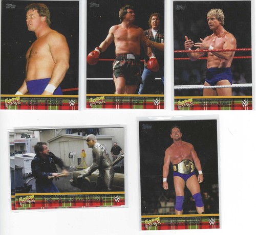 WWE superstar Tribute inserts 2012-2018 pick your card - Picture 80 of 122