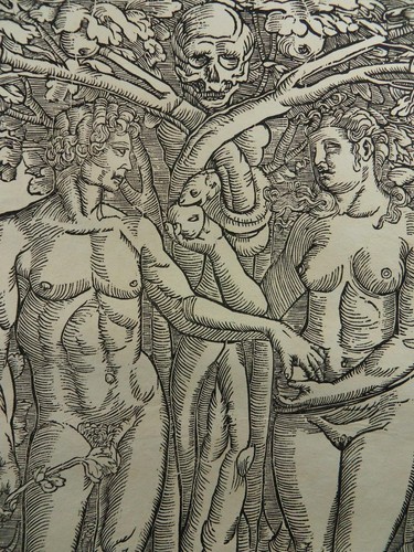HANS SEBALD BEHAM ADAM EVA SÜNDENFALL PARADIES TOTENKOPF HOLZSCHNITT WOODCUT N03 - Bild 3 von 5