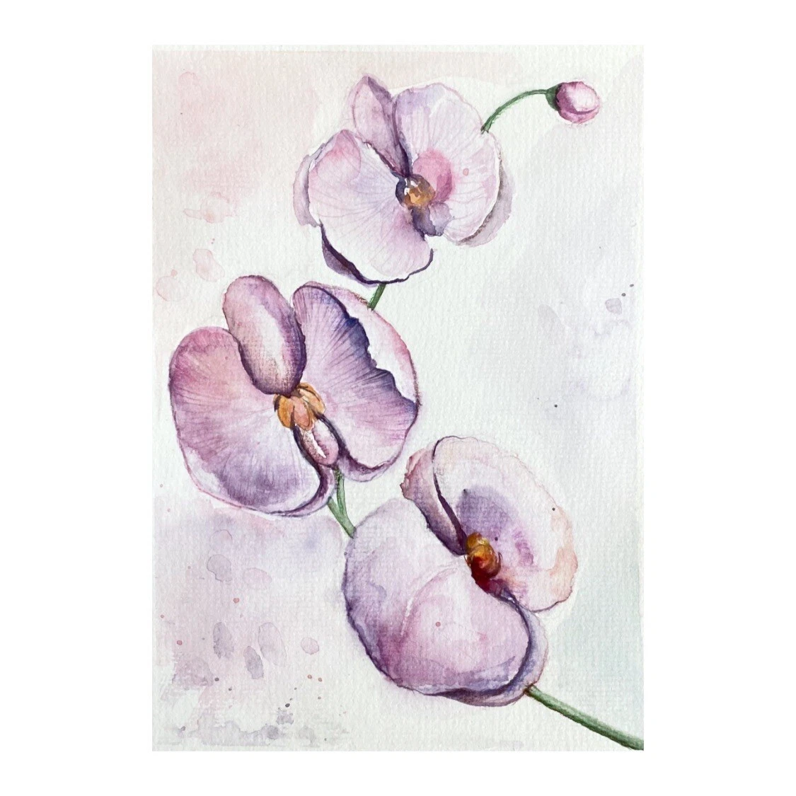 Painted orchids outlet