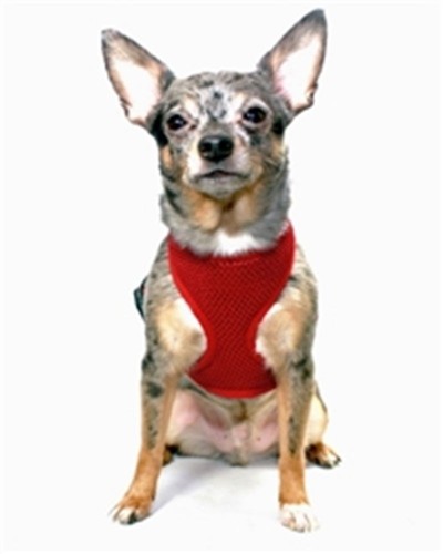 Soft Mesh Adjustable Lightweight Pet Harness With Clips. Black/Red. Size L/XL - Picture 11 of 11
