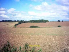 Photo 6x4 Fields near Manor House Farm Bruisyard Off Mill Road c2006