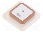 1 piece, Antenna 2136020001 /E2UK