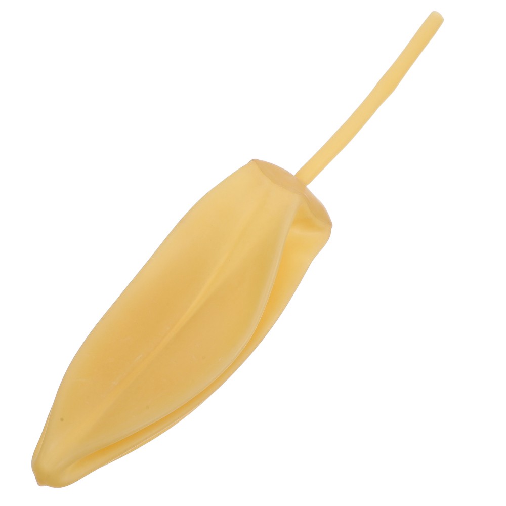 Zdjęcie 12 z 12