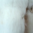Foto 3 di 13