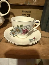 Elizabethan Fine Bone China Taylor & Kent England Floral Teacup & Saucer Used