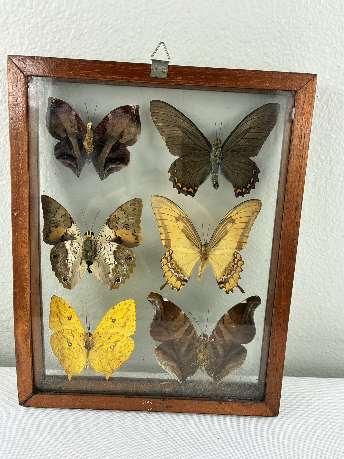 Picture 2 of 15