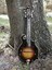 musictree