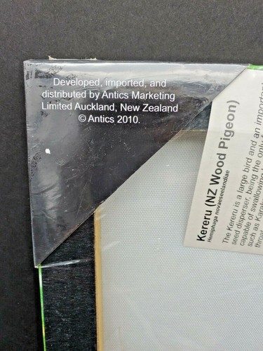 New Zealand Kereru WOOD PIGEON bird Print on Canvas color 2010 8x10 New - Picture 3 of 4