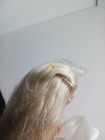 Bild 7 von 9