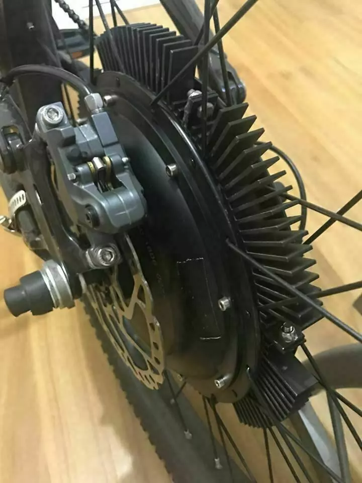 Leaf hotsell hub motor