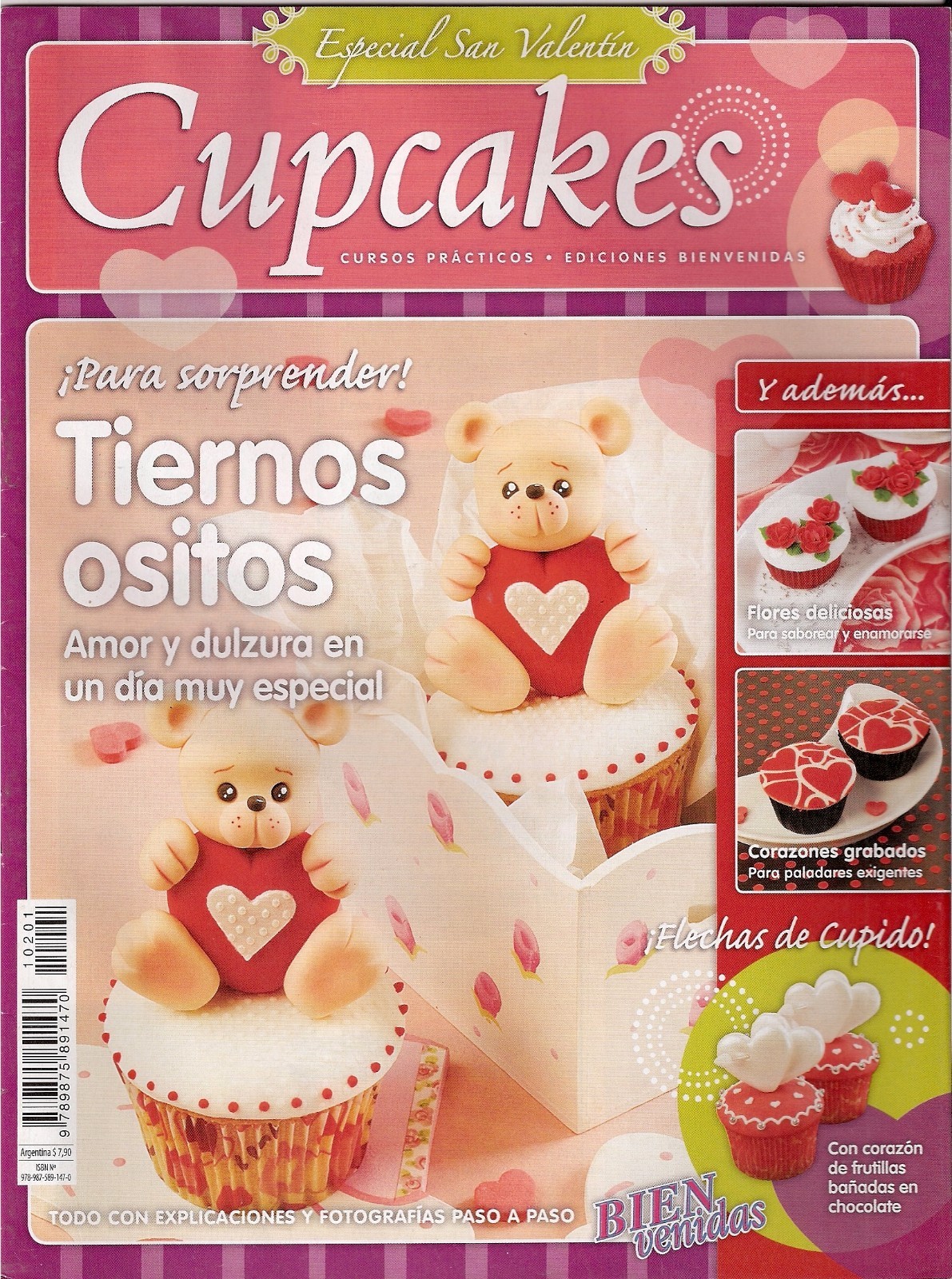Imagen 88 de 102