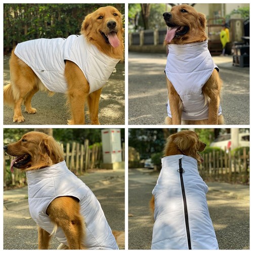 Hunde Winterweste mit Baumwollfutter, wasserdichter warmer Hundemantel winddichte Kleidung - Bild 9 von 92