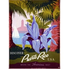 Travel Puerto Rico Usa Tropical Plant Vintage Retro Advertising Framed Art Print