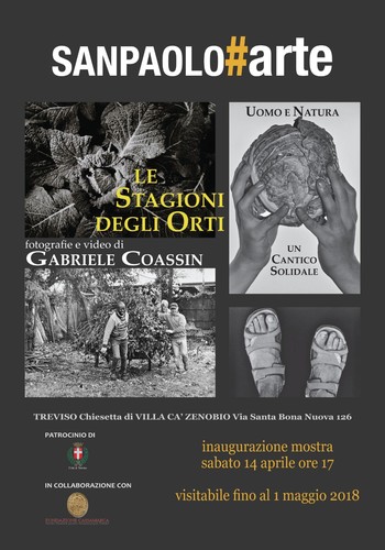Fotografia di Gabriele Coassin - Duomo di Treviso 1976 50x60 tela argento - Foto 2 di 3