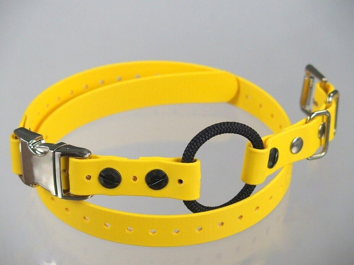 Educator 3 4 Polyester Quick Snap Dog Bungee E collar Strap also fits Dogtra eBay