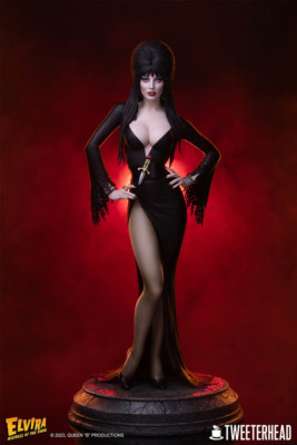 エルヴァィラ ELVIRA MISTRESS OF THE DARK (35) Amazon.com: Elvira, Mistress of the Dark : Cassandra Peterson