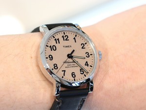 timex tw2p58800