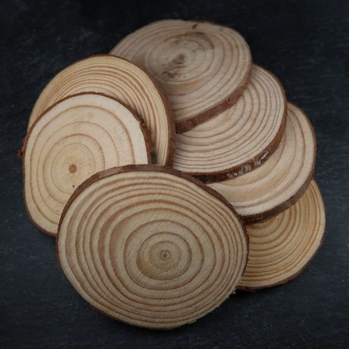 Wood slices for crafting | Wholesale wood slices for pyrography and woodburning - Picture 2 of 5