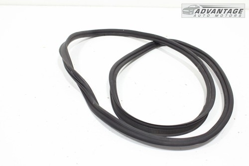 2015-2023 DODGE CHARGER REAR TRUNK DECK LID TAILGATE WEATHERSTRIP SEAL OEM