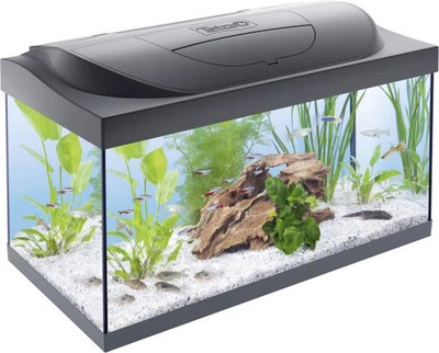 Tetra Starter Line Aquarium Set mit LED 60x30x30cm 54L Komplett Set inkl Filter