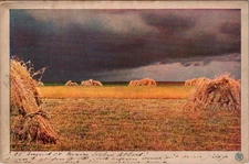 Berlin Germany Wheat Fields Storm Harvest Postcard