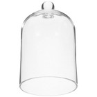  2 PCS Preserved Flower Glass Cover Covers Decor Display Dome with Base