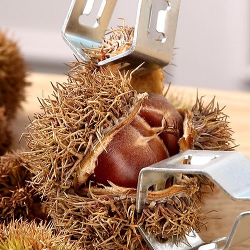 Chestnuts Opener Compact Heavy Duty Kitchen Utensils Manual Dried Fruit Tool - Picture 7 of 7