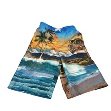 Op Kids Swim Trunks Dinosaur Sunset Beach Graphic Size LG 10-12 Elastic Waist
