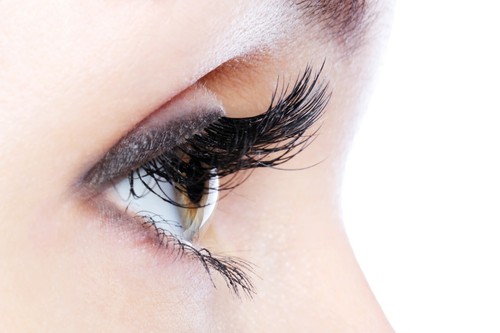 1000 Volume Lash Fans. 10D, 8D, 7D, 6D, 5D, 4D, 3D. Eyelash extensions,Handmade! - Picture 14 of 65