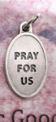 St. Saint Martin de Porres + Pray for Us - Die-Cast-Silver tone Ox 1 inch Medal - Picture 4 of 4