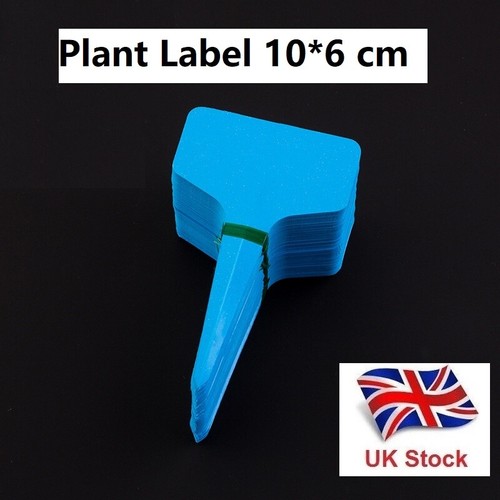 Vendedor del Reino Unido Paquete de 100 etiquetas impermeables para plantas de PVC de jardín tipo T de 10*6 cm - Imagen 12 de 17